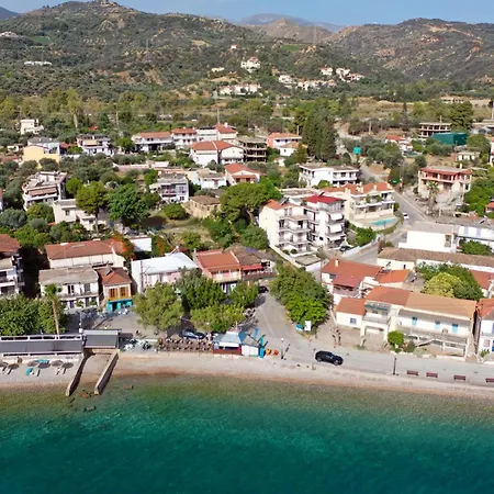 αποστόλης Selianitika